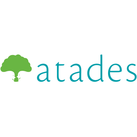 Aliado 1